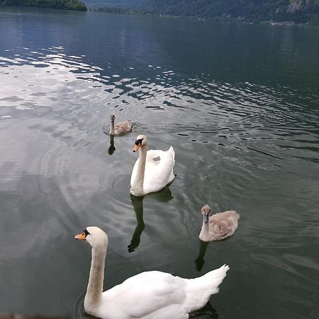 Appartement Emilia Hallstatt Eksteriør billede