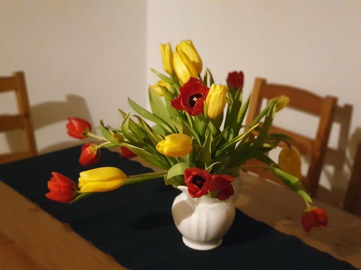 Appartement Emilia Hallstatt Eksteriør billede