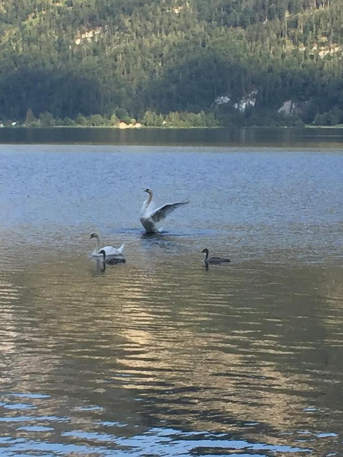 Appartement Emilia Hallstatt Eksteriør billede