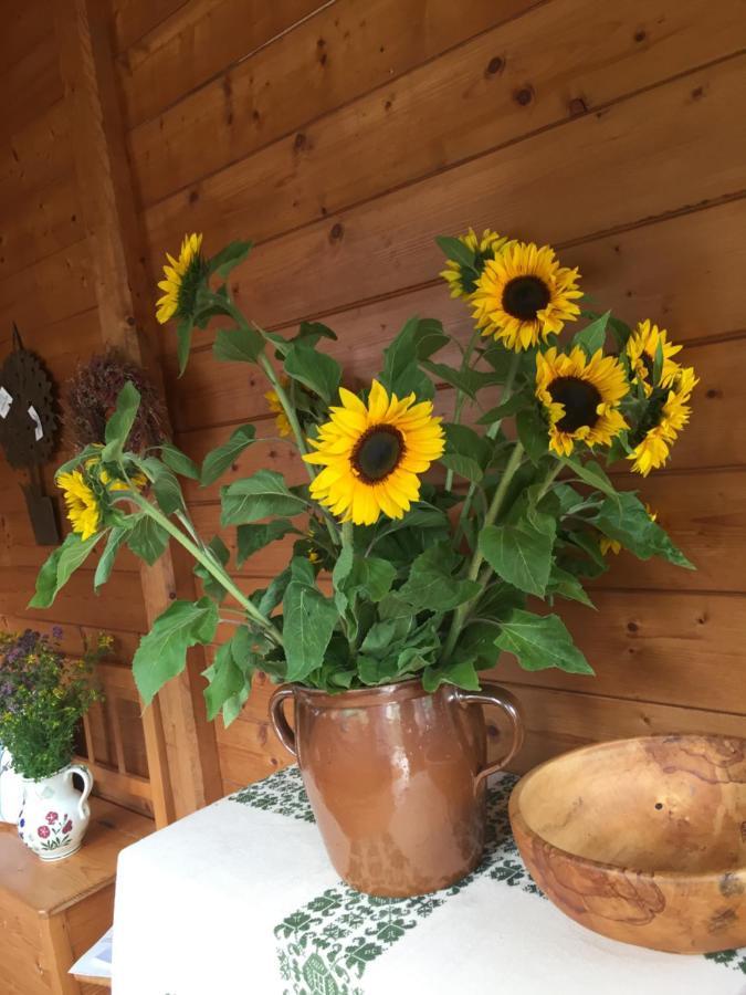 Appartement Emilia Hallstatt Eksteriør billede