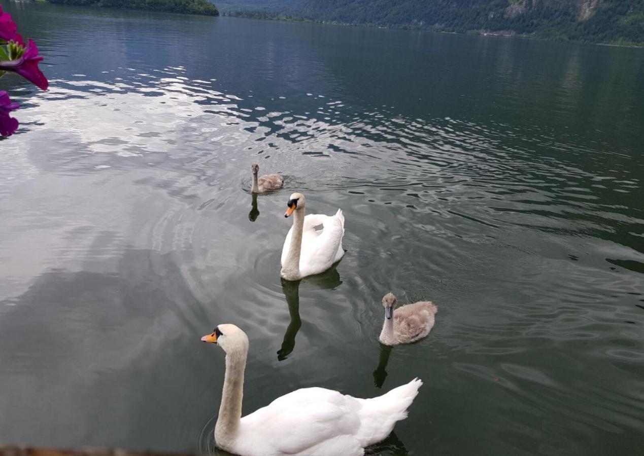 Appartement Emilia Hallstatt Eksteriør billede