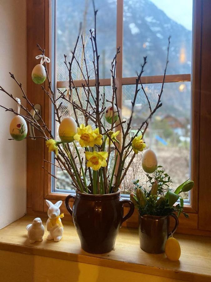 Appartement Emilia Hallstatt Eksteriør billede