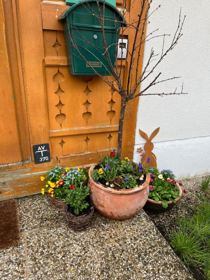 Appartement Emilia Hallstatt Eksteriør billede