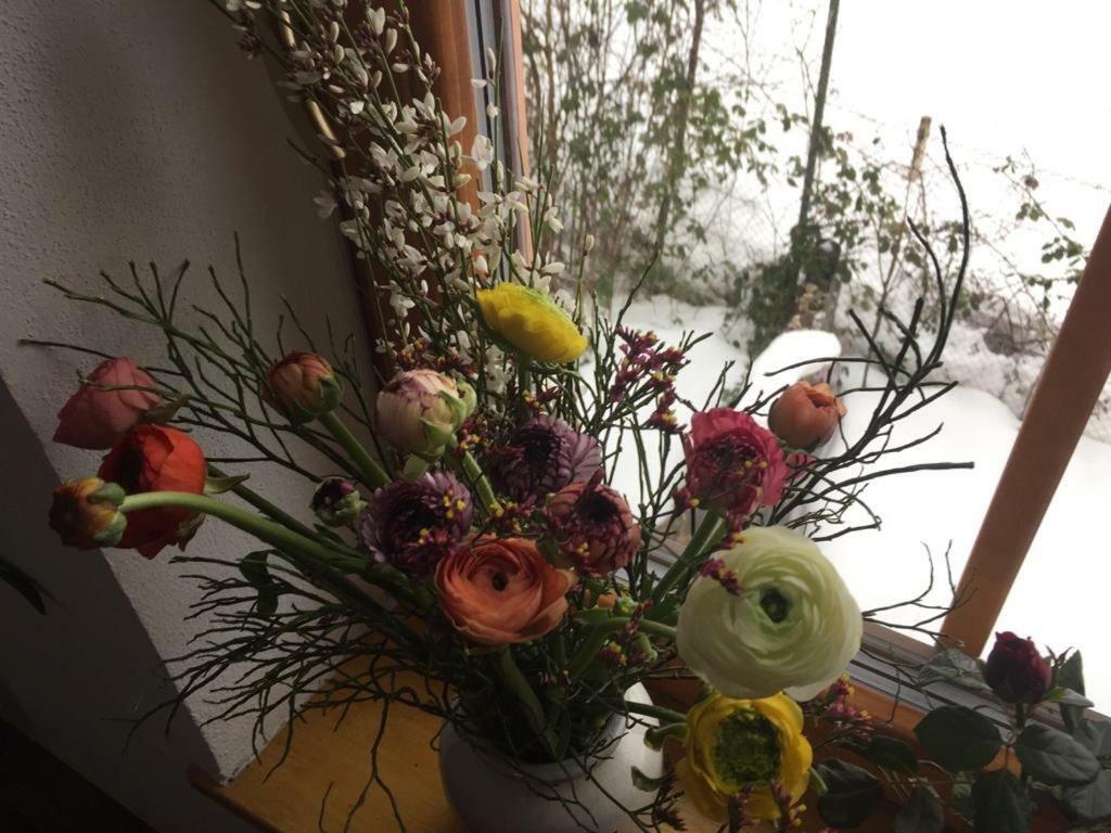 Appartement Emilia Hallstatt Eksteriør billede